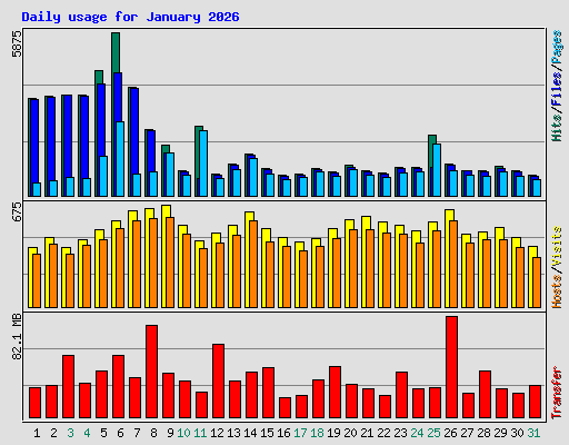 Daily usage for January 2026