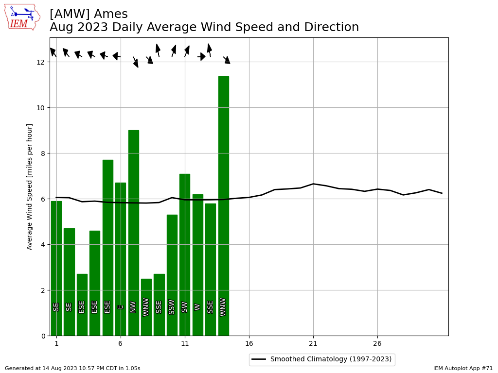 Windy August Day